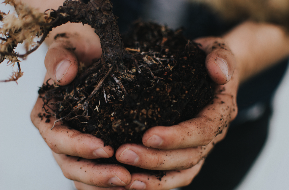 Rubbish Clearance: 11 Weird Things You Can Compost